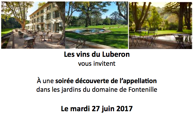 dégustation vins luberon lauris