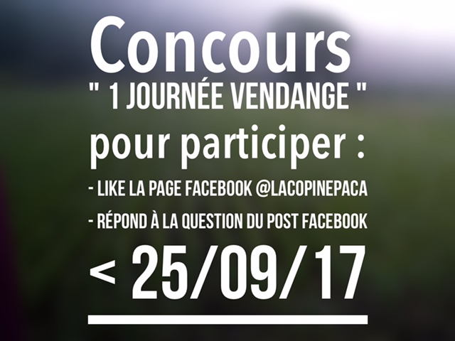 concours vendange