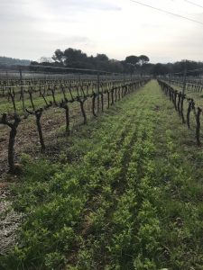 domaine sulazue vins biodynamie provence