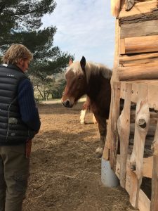 domaine sulauze vins biodynamie provence