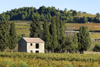 sentier viticole vins de rasteau oenotourisme paca