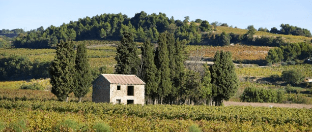 sentier viticole vins de rasteau oenotourisme paca