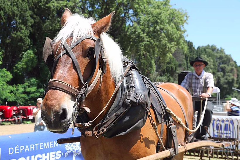 salon ferme agriculture provence juin salon ferme agriculture provence juin