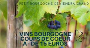 bourgogne coup de coeur vins - 15 euros