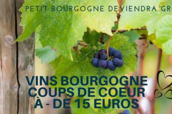 bourgogne coup de coeur vins - 15 euros