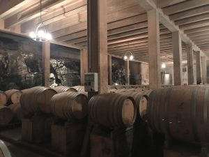 visite domaine oenotourisme en provence