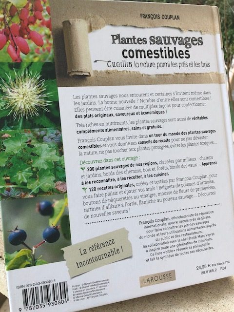 cueillir plantes sauvages comestibles