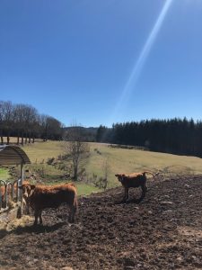 week end campagne detente ardeche