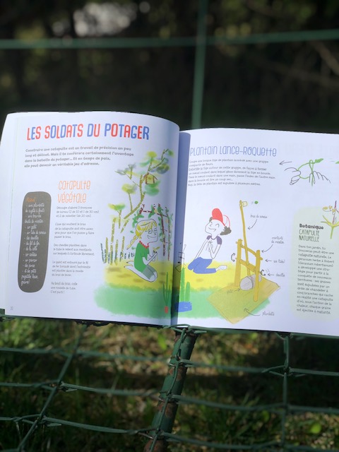 activités et jouet avec les plantes 