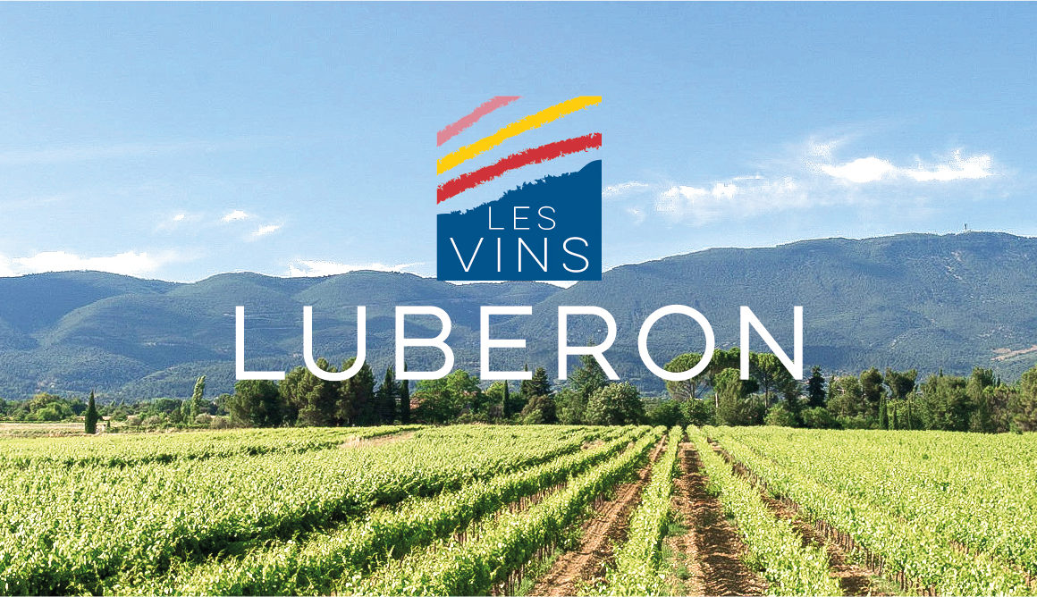 vins luberon balade oenotourisme