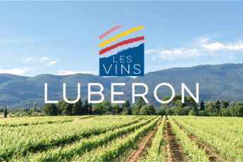 vins luberon balade oenotourisme