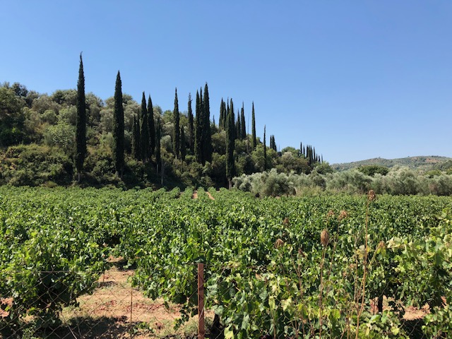 vacances grece balade peloponnese messenie