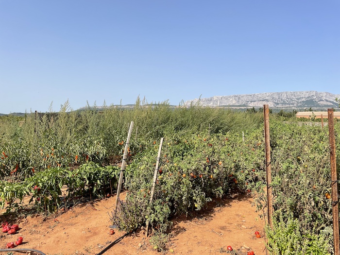 potager du mistral rousset provence