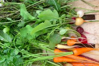 producteur legume chef provence